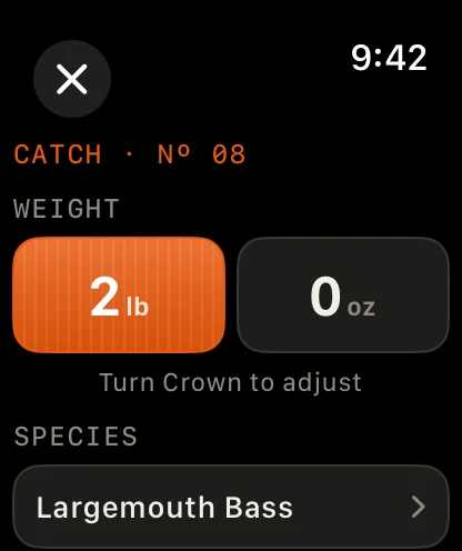 Apple Watch · On your wrist