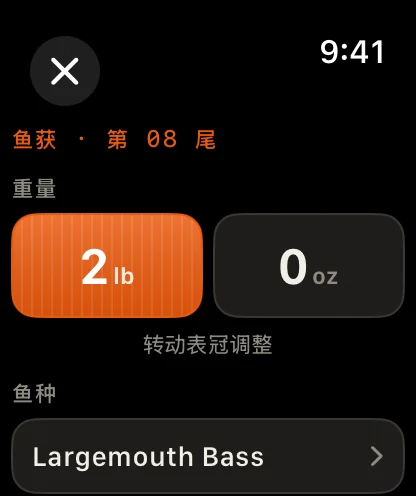 Apple Watch · 手腕上的搭档